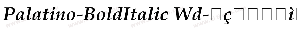Palatino-BoldItalic Wd字体转换